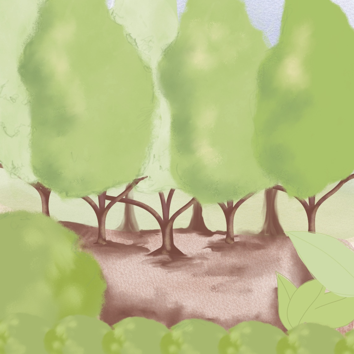 Bildschirmfoto 2025-11-08 um 13.14.38